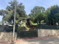 TERRENO EN VENTA EN CASTELLVÍ DE ROSANES