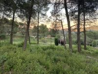 TERRENO EN VENTA EN CORBERA DE LLOBREGAT