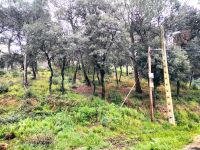 TERRENO EN VENTA EN PIERA