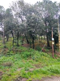 TERRENO EN VENTA EN PIERA